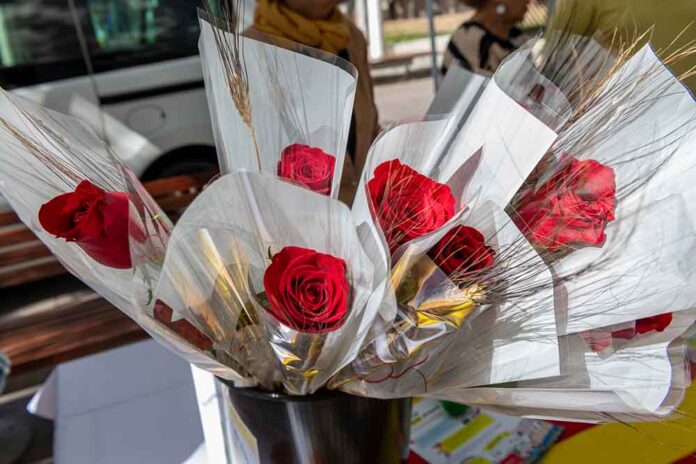 Les roses de Sant Jordi un 2% més cares