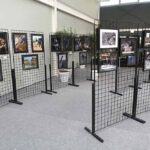 exposició-fem-fira-020526