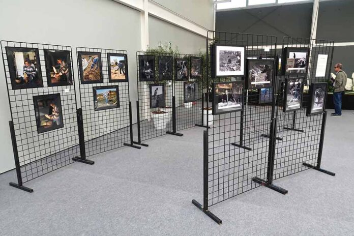 Exposicions fotogràfiques a la Fira