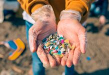 Activitat per analitzar els microplàstics al mar a la Jugatecambiental Activitat per analitzar els microplàstics al mar