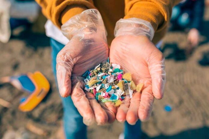 microplastics-2026 Activitat per analitzar els microplàstics al mar