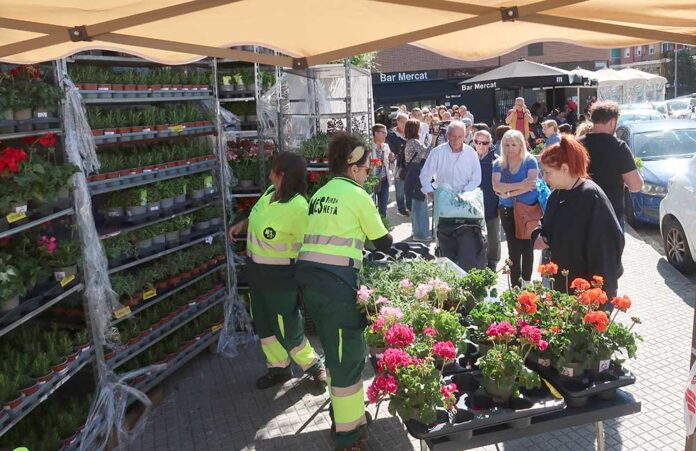 Massiva resposta ciutadana al repartiment de plantes
