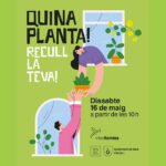 plantes-110526