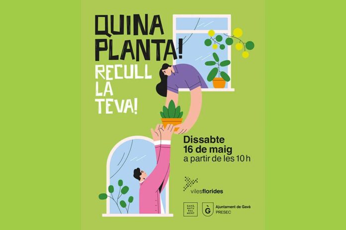 plantes-110526 Gavà repartirà plantes a la ciutadania