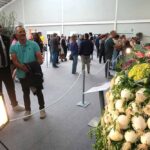 visita-psc-010526