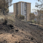 Aquest és el punt exacte del barri de Les talaies a on va començar el foc