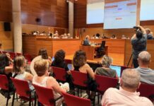 El Ple dona suport a Veneçuela i al Consell de la Gent Gran del Baix Llobregat ple