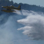 foc-1-2026