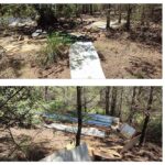 neteja-bosc-010726