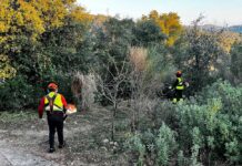 L’Ajuntament reforça accions per prevenir incendis forestals Gavà consolida una estratègia contra els focs forestals