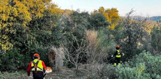 L’Ajuntament reforça accions per prevenir incendis forestals Gavà consolida una estratègia contra els focs forestals