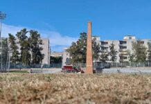 Comencen els treballs per renovar la gespa de La Bòbila gespa