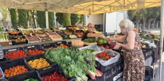 Les altes temperatures han afectat el preu dels productes frescos producte