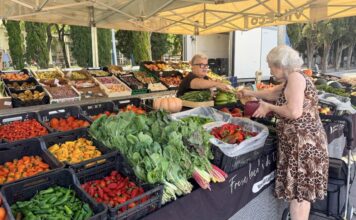 Les altes temperatures han afectat el preu dels productes frescos producte