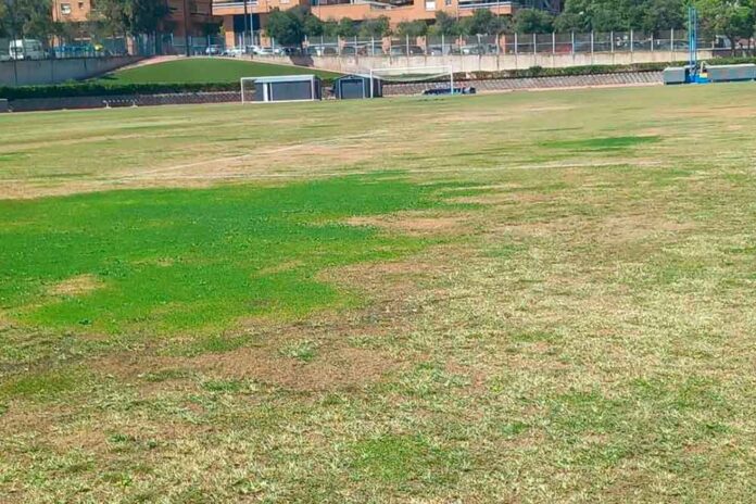 El camp de La Bòbila