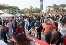 Gran festa al Brisa per recaptar fons per Adisga Gran festa al Brisa per recaptar fons per Adisga