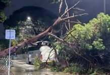 La forta pluja provoca diverses incidències La forta pluja provoca diverses incidències