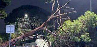 La forta pluja provoca diverses incidències La forta pluja provoca diverses incidències