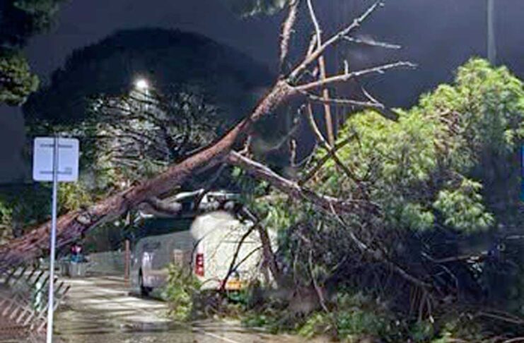 La forta pluja provoca diverses incidències La forta pluja provoca diverses incidències